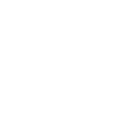 Seguimiento y acompañamiento continuo