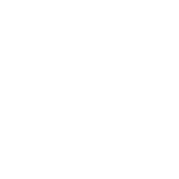 Plan de tratamiento personalizado